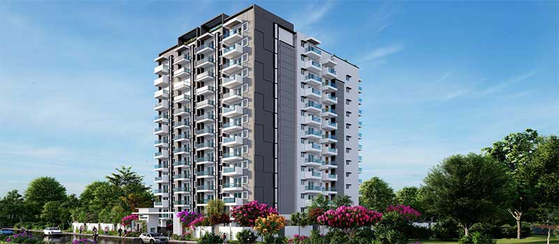 Triaxis Splendour Plus