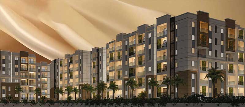 Green Edge Signature