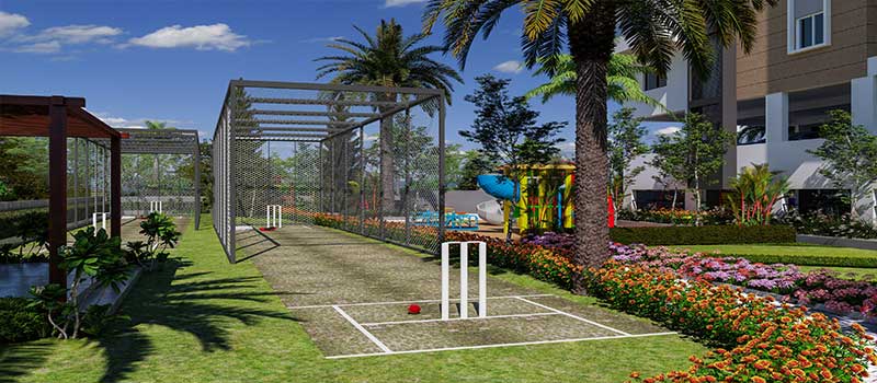 Green Edge Signature