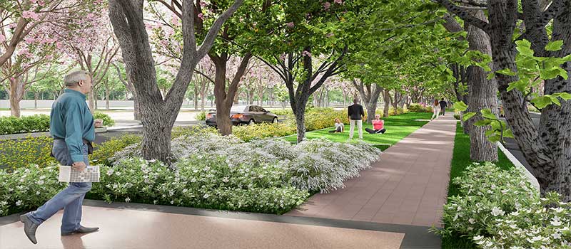 Brigade Cherry Blossom