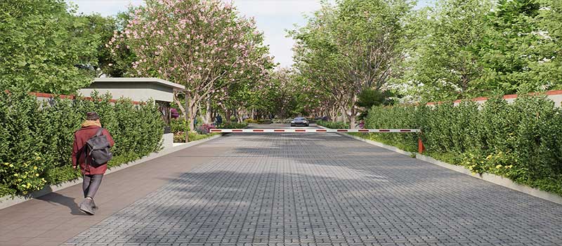 Brigade Cherry Blossom