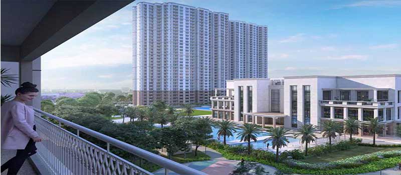 Prestige Lavender Fields