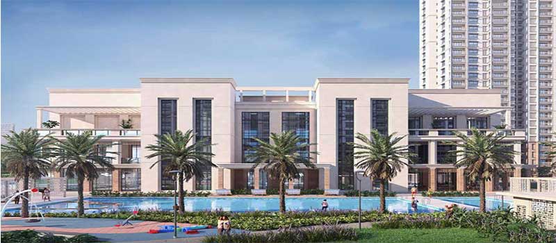 Prestige Lavender Fields