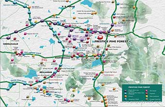 Prestige Pine Forest