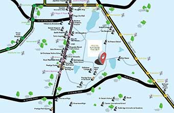 Prestige Southern Star