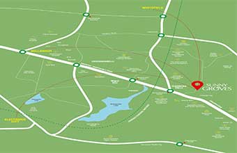 Cynosure Sunny Groves