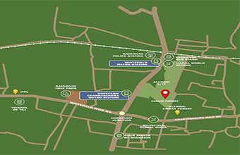 Alembic Cloud Forest