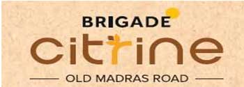 Brigade Citrine