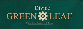 Divine Green Leaf