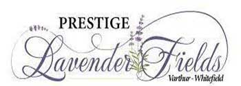 Prestige Lavender Fields