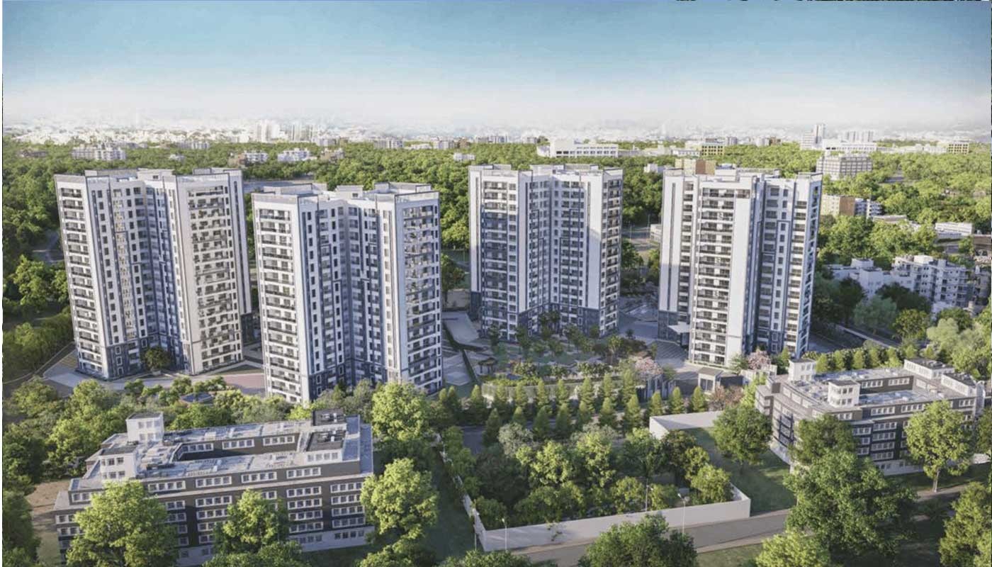 Prestige Pine Forest